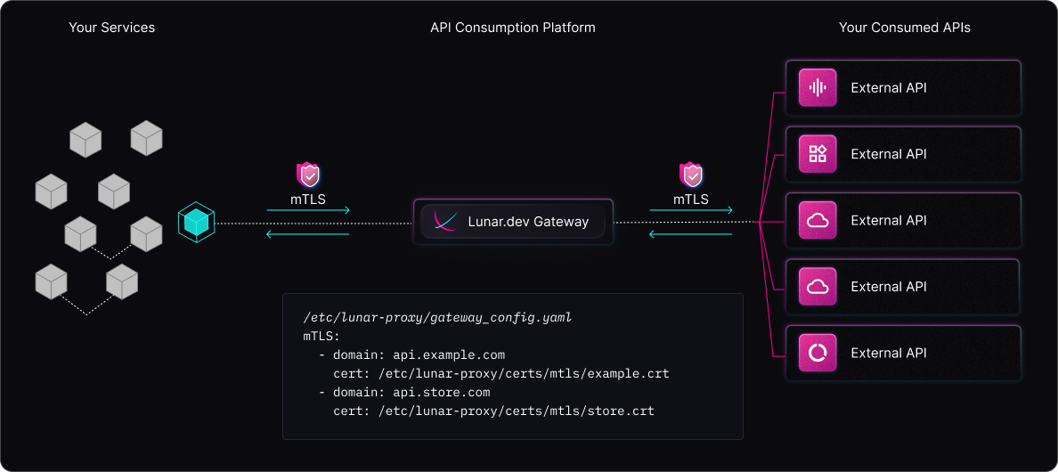 mTLS Configuration